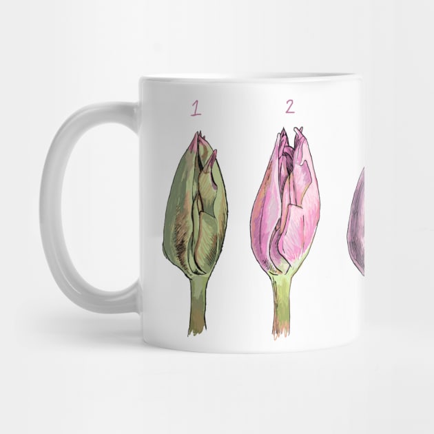 Tulip Study by KColeman